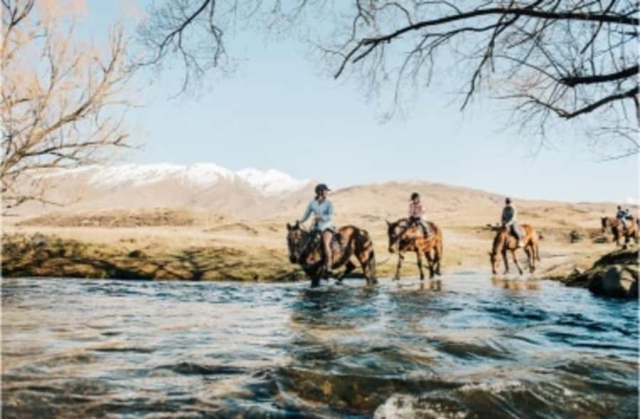Cardrona Valley: Horse Trekking Experience - Who should book this Cardrona horse trek?
