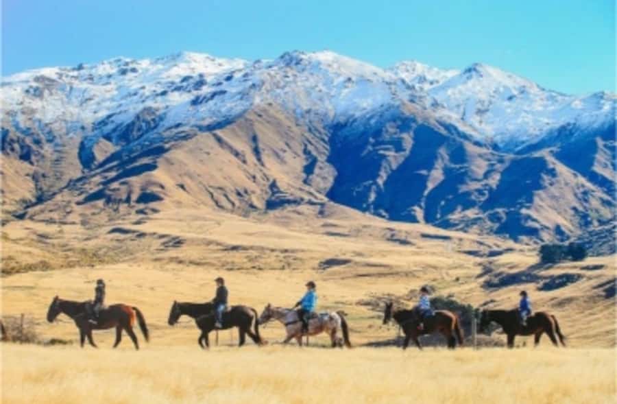 Cardrona Valley: Horse Trekking Experience - Booking details that matter