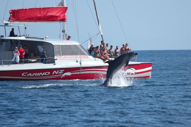 Carino Wildlife Cruises - Island and Wildlife Day Cruise - Carino Wildlife Cruises at a glance