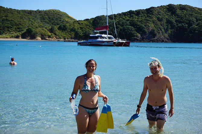 Carino Wildlife Cruises - Island and Wildlife Day Cruise - Why this Bay of Islands cruise feels different