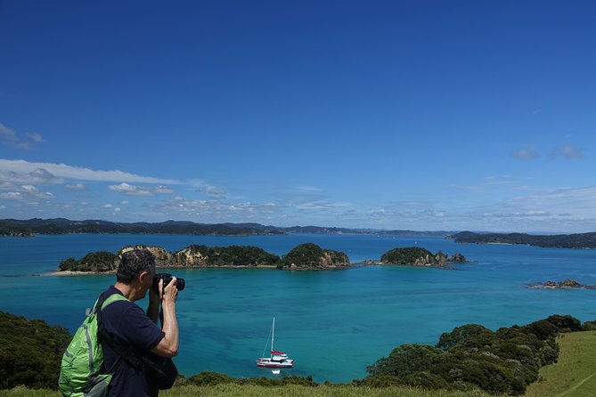 Carino Wildlife Cruises - Island and Wildlife Day Cruise - Looking for dolphins, penguins, and seabirds