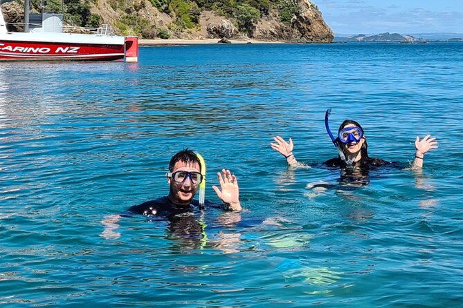Carino Wildlife Cruises - Island and Wildlife Day Cruise - Is $136.53 a fair price?