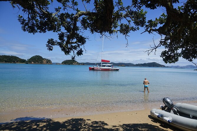 Carino Wildlife Cruises - Island and Wildlife Day Cruise - Who will enjoy this cruise most?
