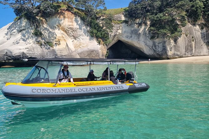 Cathedral Cove 2 Hour Guided Tour Explore Marine Wonders - Quick points before you book