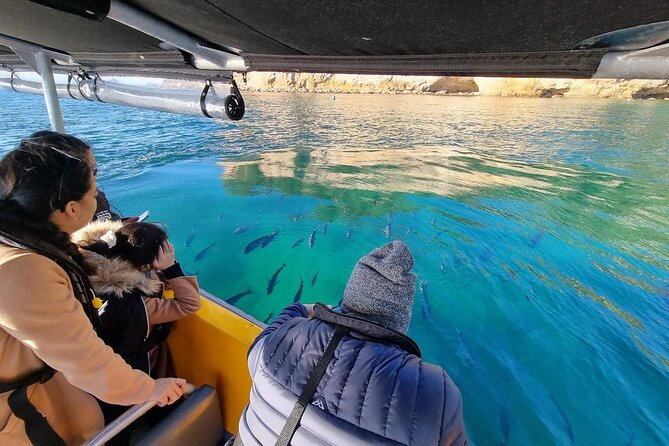 Cathedral Cove 2 Hour Guided Tour Explore Marine Wonders - Seeing Cathedral Cove from the sea