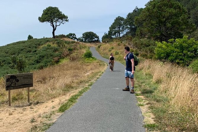 Cathedral Cove and Hot Water Beach Scenic Day Tour from Auckland - What the $372.34 Price Really Buys