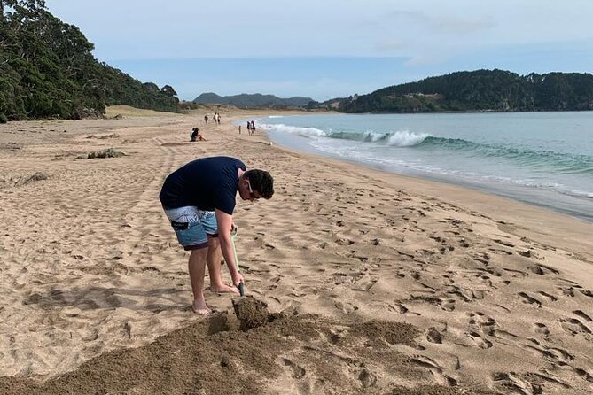 Cathedral Cove and Hot Water Beach Scenic Day Tour from Auckland - Who Should Book This Experience?