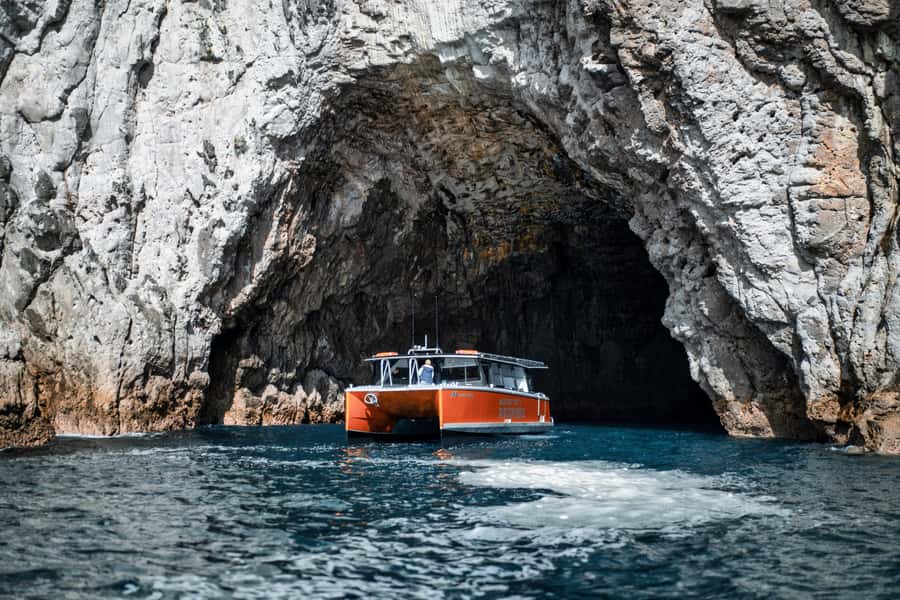 Cathedral Cove Coast and Cave Tour - Five things to know before you book