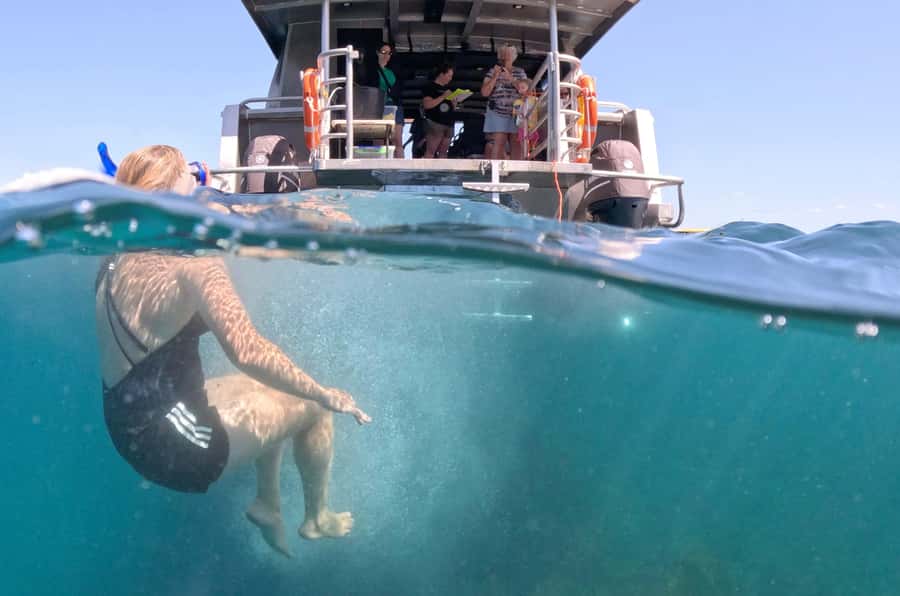 Cathedral Cove Coast and Cave Tour - Snorkeling with snapper in the marine reserve