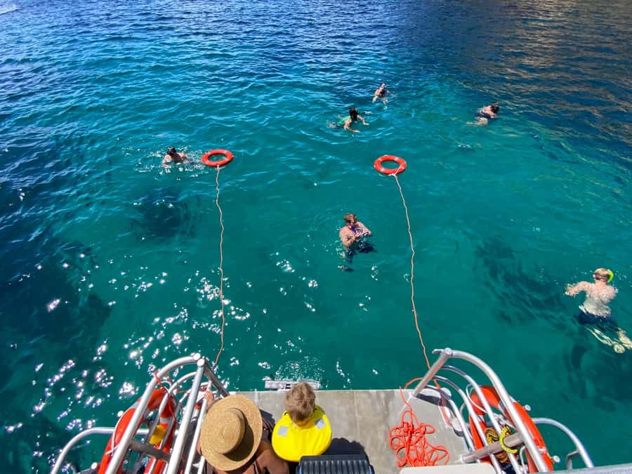 Cathedral Cove Coast and Cave Tour - Wildlife can add a welcome surprise