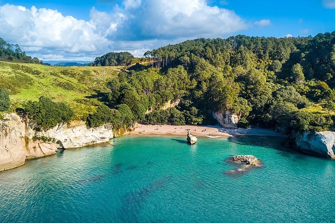 Cathedral Cove & Coromandel Peninsula Small-Group Day Tours - Is $164.45 good value?