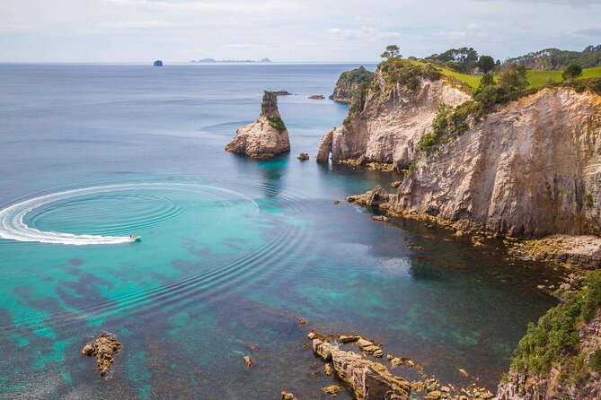 Cathedral Cove & Coromandel, Small-Group Tour from Auckland - Crossing Waikato by Minibus