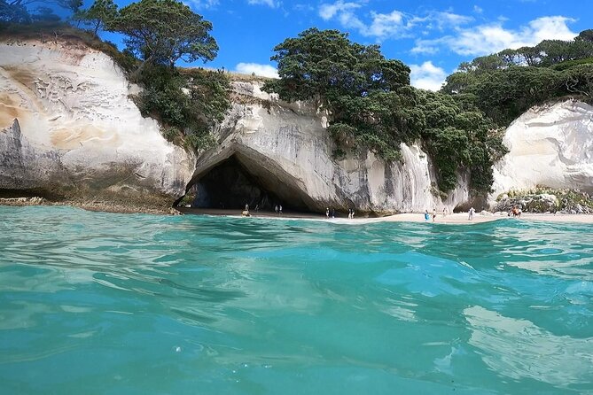 Cathedral Cove & Coromandel, Small-Group Tour from Auckland - Group Size, Comfort, and Physical Demands