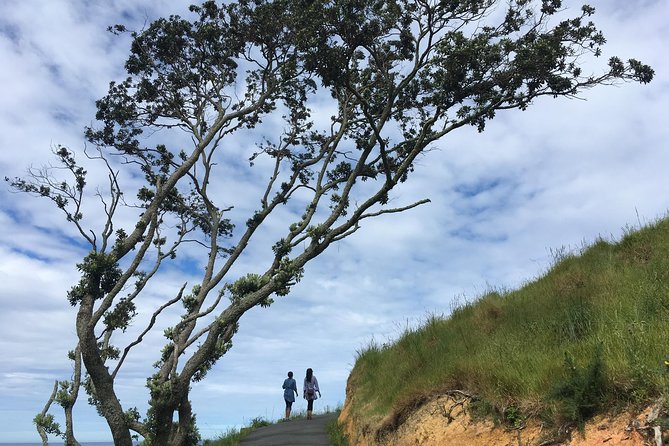 Cathedral Cove Day Trip from Auckland - Five things to know before you book