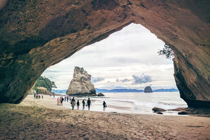 Cathedral Cove Day Trip from Auckland - Why this Coromandel day trip works from Auckland