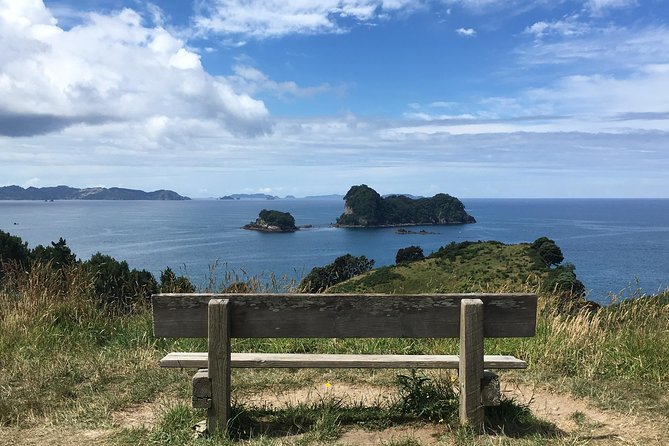 Cathedral Cove Day Trip from Auckland - Mt. Paku and its 10-minute climb