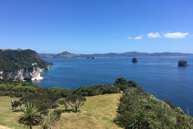 Cathedral Cove Day Trip from Auckland - What the guide adds to the day