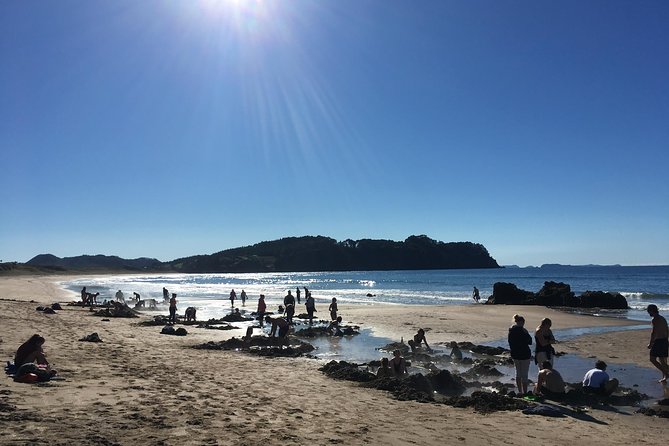 Cathedral Cove Day Trip from Auckland - The real value of $242.02