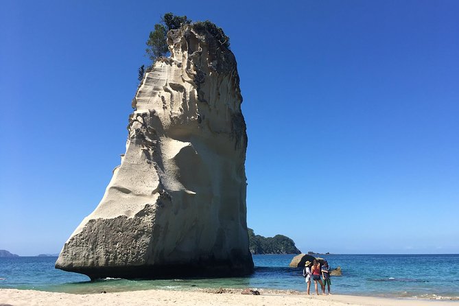 Cathedral Cove Day Trip from Auckland - Starting at 8:00 am with pickup and a small group