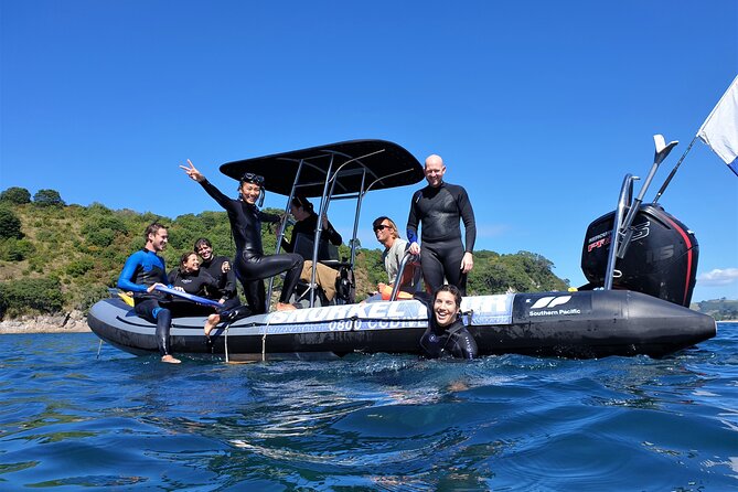 Cathedral Cove Dive & Snorkel- Marine Reserve specialised trips - Key Points To Know Before You Book