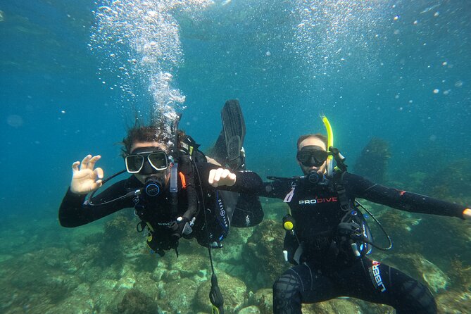 Cathedral Cove Dive & Snorkel- Marine Reserve specialised trips - Warm Wetsuits And Clean Equipment