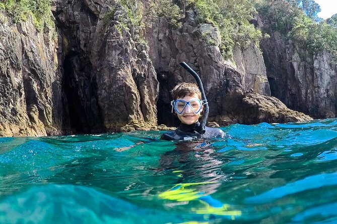 Cathedral Cove Dive & Snorkel- Marine Reserve specialised trips - The People Make The Trip Work
