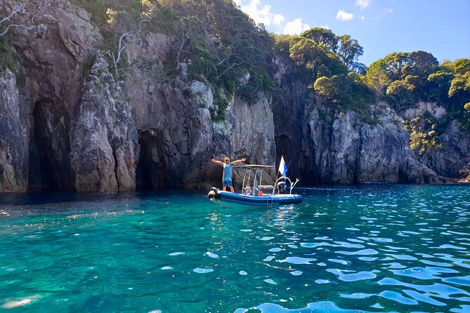 Cathedral Cove Dive & Snorkel- Marine Reserve specialised trips - Who Will Get The Most From This Trip