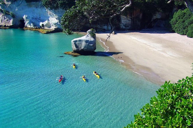 Cathedral Cove Kayak Tour - Starting at Hahei Beach with a clear plan
