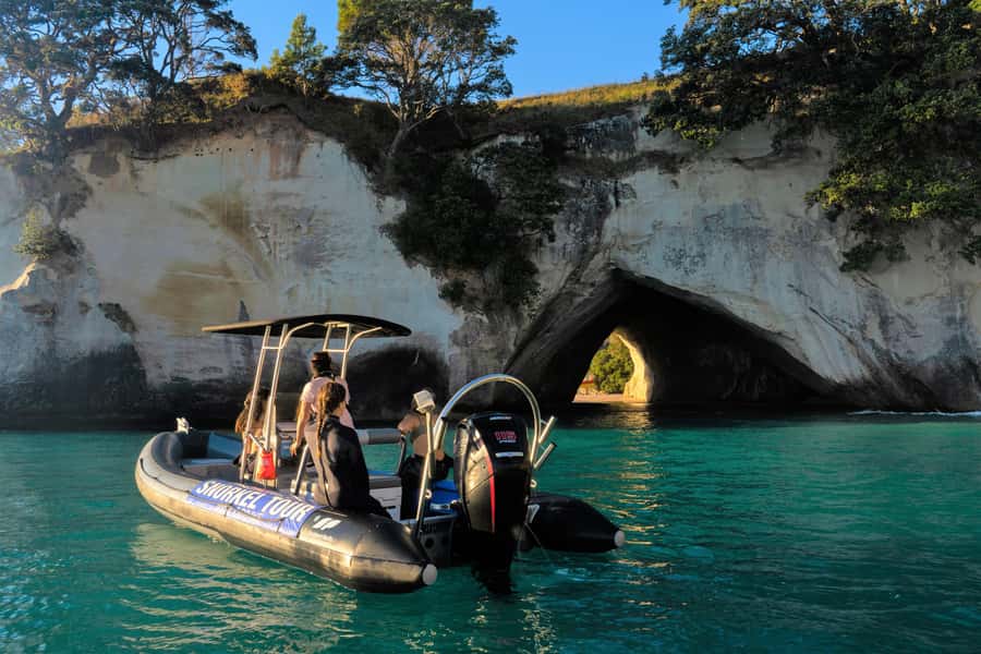 Cathedral Cove Marine Reserve: Snorkeling Boat Trip - Choosing the snorkeling site around Hahei