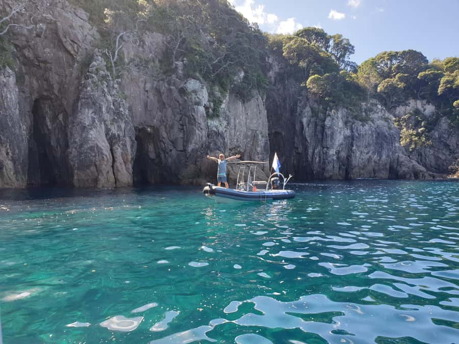 Cathedral Cove Marine Reserve: Snorkeling Boat Trip - Fish, rays, and the appeal of the marine reserve