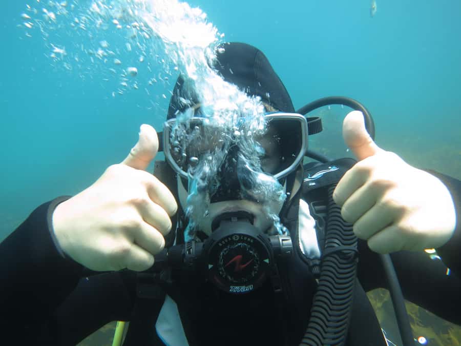 Cathedral Cove Marine Reserve: Snorkeling Boat Trip - Who will get the most from this trip