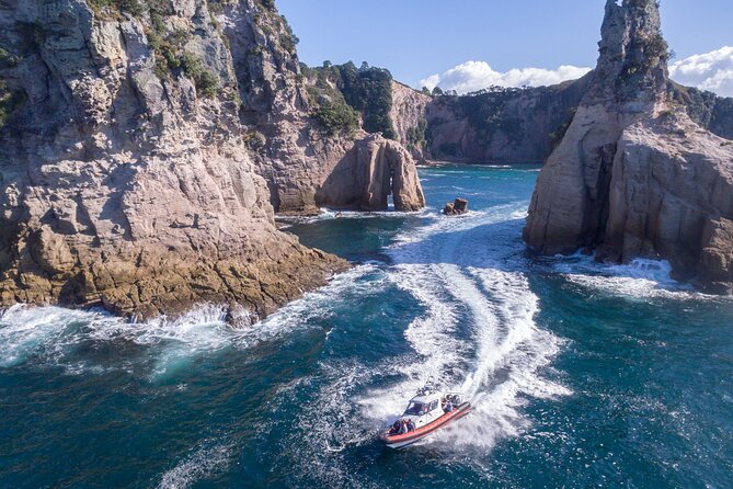 Cathedral Cove Scenic Cruises Whitianga - Quick points before you book