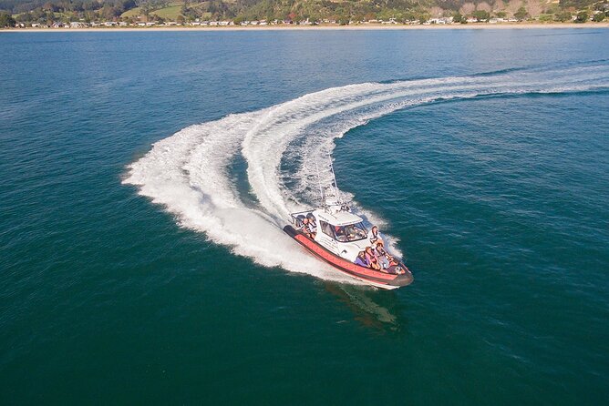 Cathedral Cove Scenic Cruises Whitianga - What the two-hour Coromandel cruise is really offering