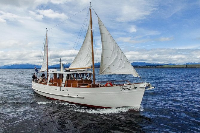 Champagne Sightseeing Cruise on Lake Te Anau - Why Faith makes this cruise different