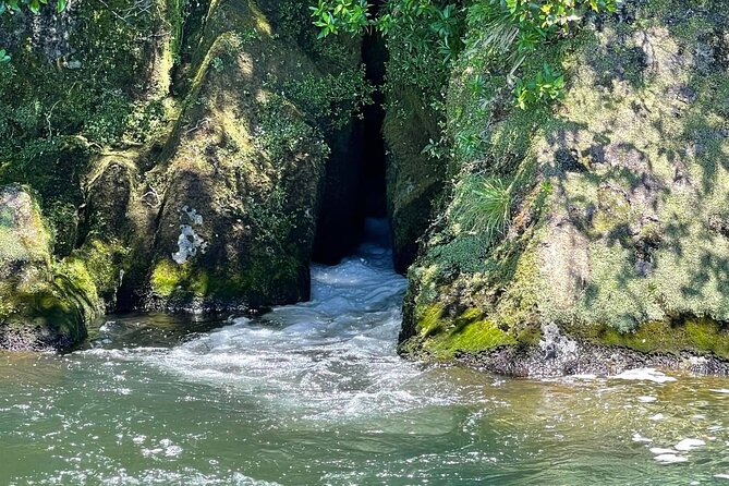 Chasing Waterfalls The Adventurer from Kinloch Marina - Te Papa Bay and the clear water of Waikino Falls