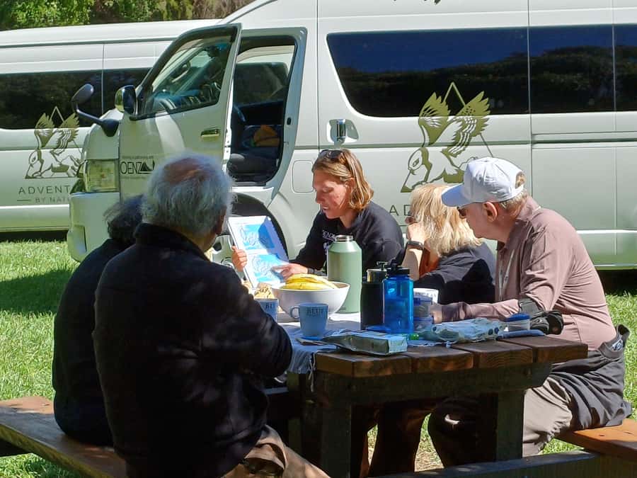 Christchurch: Akaroa and Banks Peninsula Day Trip - Why Akaroa makes a fine day from Christchurch