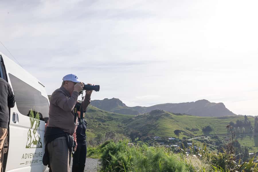 Christchurch: Akaroa and Banks Peninsula Day Trip - Is $328 a fair price?