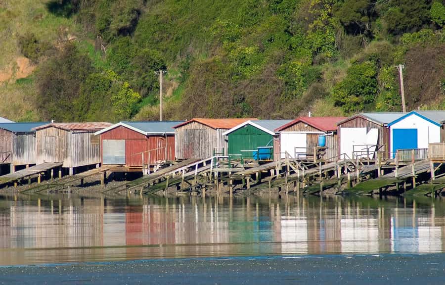 Christchurch: Akaroa and Banks Peninsula Day Trip - Should you book the Akaroa day trip?