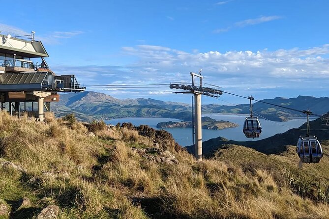 Christchurch City Full Day Tour - A seven-hour introduction to Christchurch