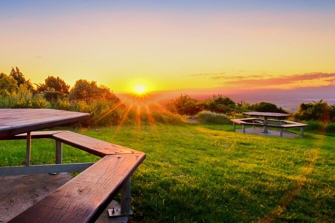 Christchurch City Highlights Half Day Tour - Christchurch Botanic Gardens: the strongest finish