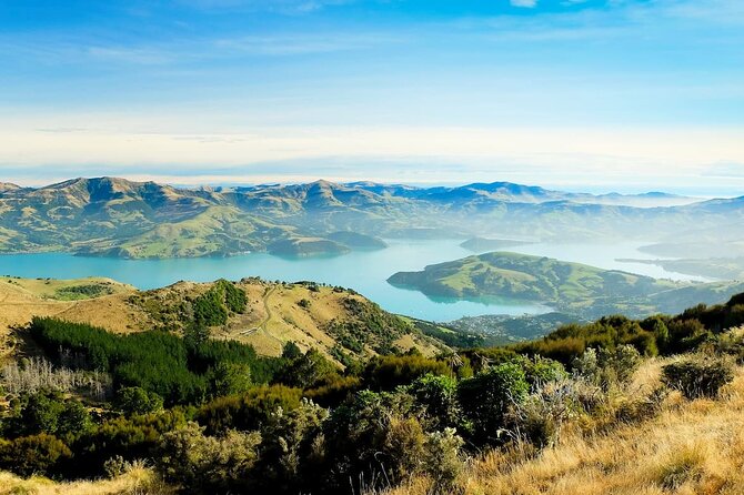 Christchurch City Highlights Half Day Tour - What the $114.81 price really covers
