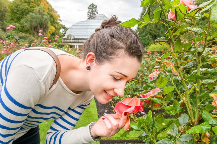 Christchurch Gondola and Tram City Tour Combo - Food, walks, and the extra time at the summit