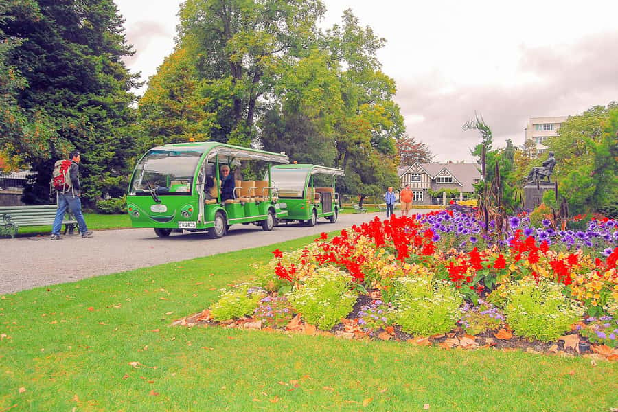 Christchurch Gondola and Tram City Tour Combo - Busy periods, comfort, and access