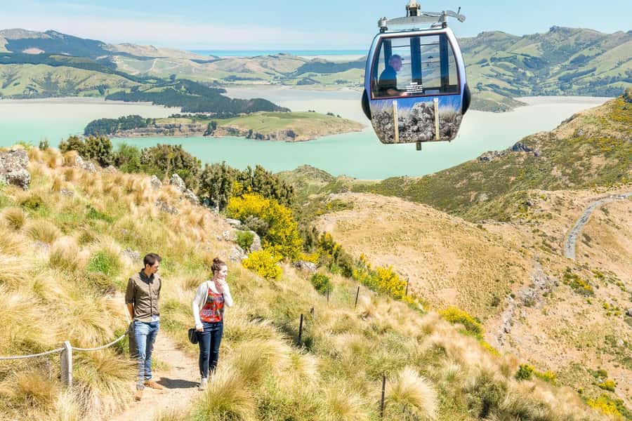 Christchurch: Gondola Ride - What You See From the 445-Meter Summit