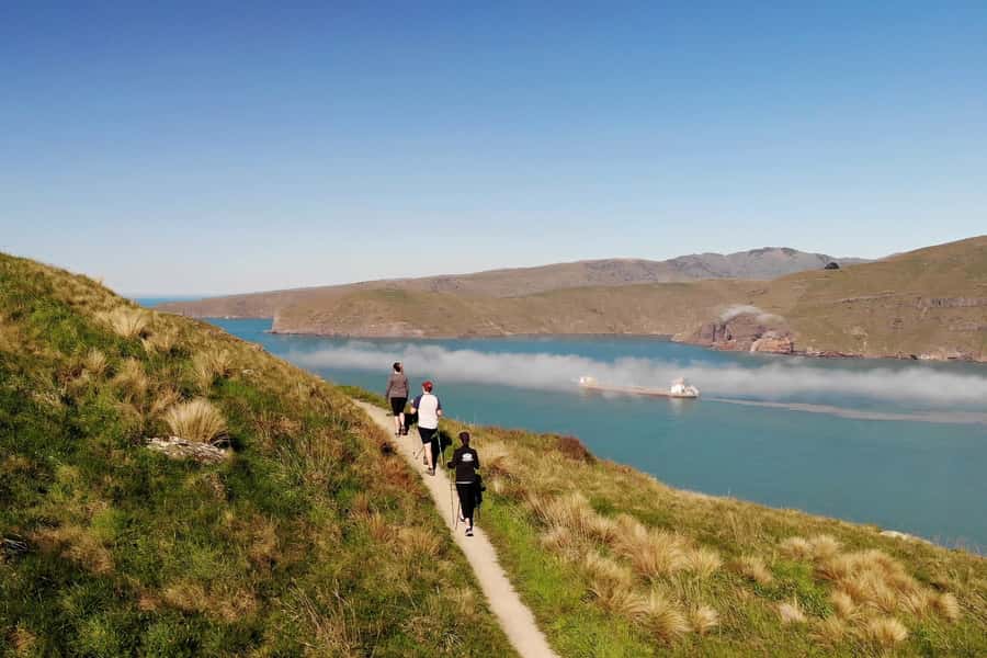 Christchurch: Guided Crater Rim Walk with Coastal Scenery - Key points at a glance