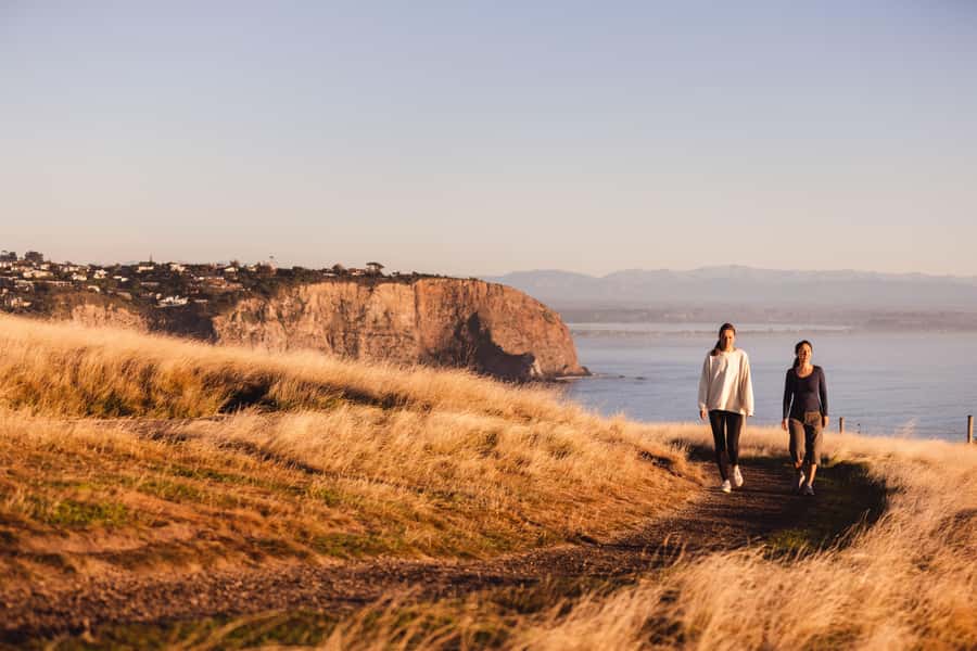 Christchurch: Guided Crater Rim Walk with Coastal Scenery - Why this walk is one of Christchurch’s best outdoor outings