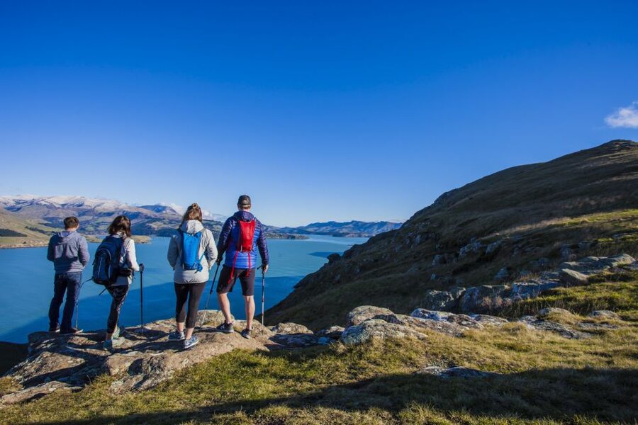 Christchurch: Guided Crater Rim Walk with Coastal Scenery - Taylors Mistake and the first coastal views