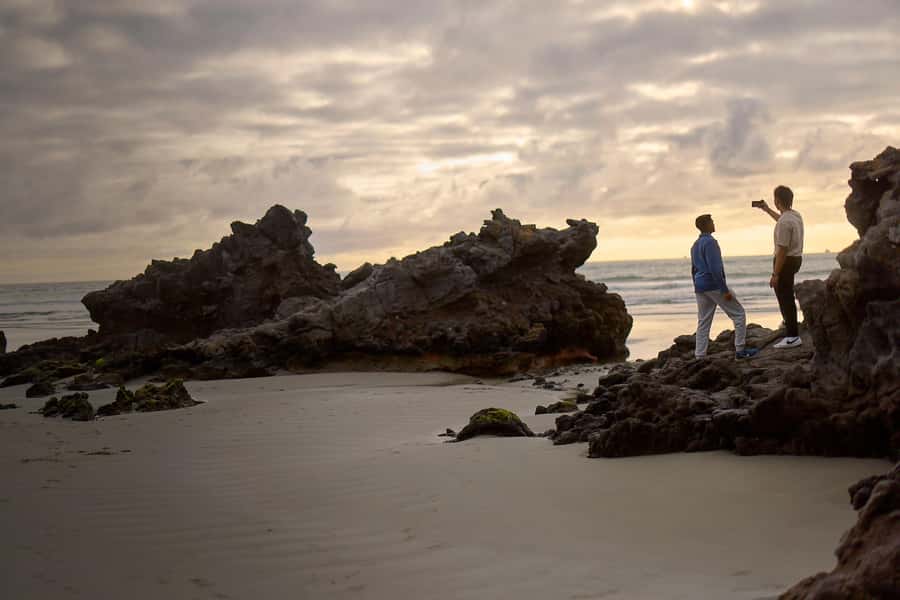 Christchurch: Guided Crater Rim Walk with Coastal Scenery - Wildlife along the cliffs and water