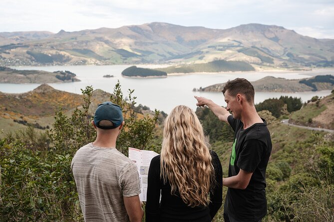 Christchurch Highlights Tour (Full Day Private) - Key points to know before booking