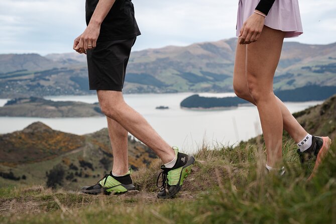 Christchurch Highlights Tour (Full Day Private) - Port Hills: wide views for a short walk